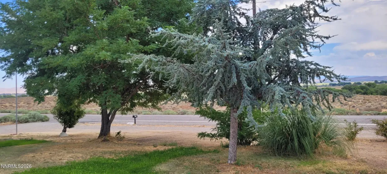 11 Lower Colony, Wellington, Nevada 89444, 3 Bedrooms Bedrooms, ,2 BathroomsBathrooms,Residential,Residential,Lower Colony,0,260010578