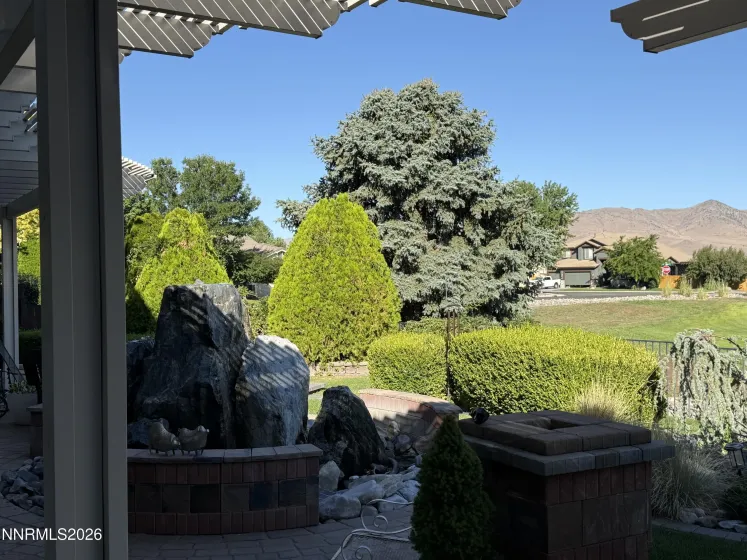 Back yard