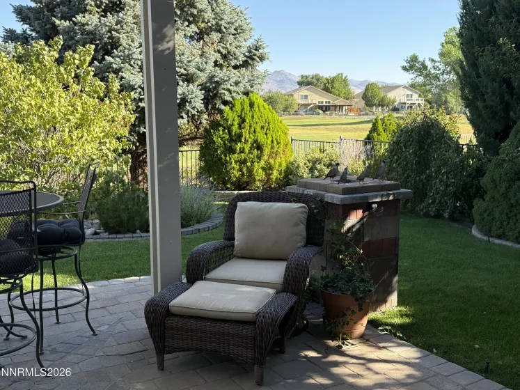 Back yard