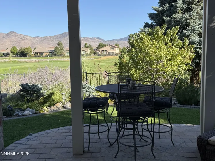 Back yard