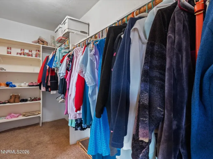 4190 Conte, Carson City, Nevada 89701, 6 Bedrooms Bedrooms, ,4 BathroomsBathrooms,Residential,Residential,Conte,0,260010629