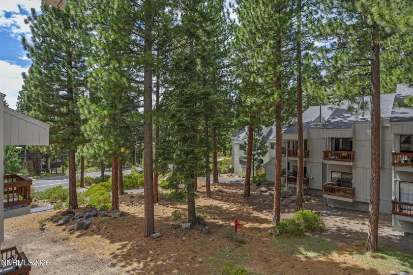 807 Alder, Incline Village, Nevada 89451, 2 Bedrooms Bedrooms, ,2 BathroomsBathrooms,Residential,Residential,Alder,0,260010663