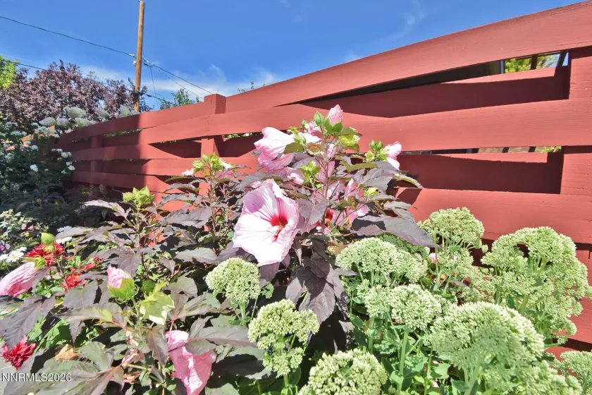 1175 Fairfield, Reno, Nevada 89509, 2 Bedrooms Bedrooms, ,2 BathroomsBathrooms,Residential,Residential,Fairfield,0,260010686