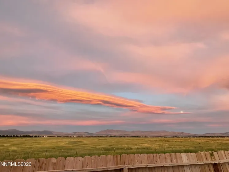 1183 Peony, Minden, Nevada 89423, 4 Bedrooms Bedrooms, ,3 BathroomsBathrooms,Residential,Residential,Peony,0,260010719