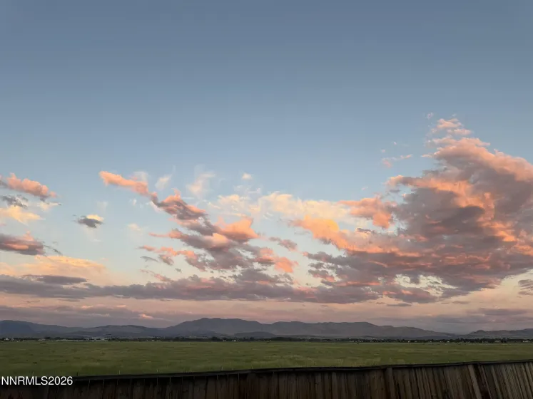 1183 Peony, Minden, Nevada 89423, 4 Bedrooms Bedrooms, ,3 BathroomsBathrooms,Residential,Residential,Peony,0,260010719