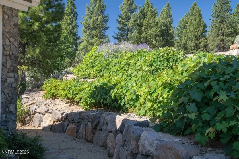 4810 Pinewild, Reno, Nevada 89511, 4 Bedrooms Bedrooms, ,5 BathroomsBathrooms,Residential,Residential,Pinewild,0,260010720