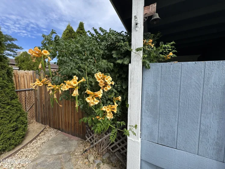 920 Loyola, Carson City, Nevada 89705, 3 Bedrooms Bedrooms, ,2 BathroomsBathrooms,Residential,Residential,Loyola,0,260010737