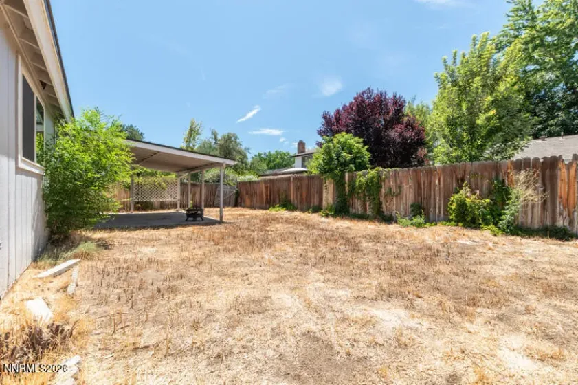 Back yard