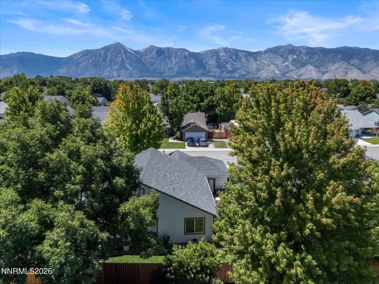 1336 Brooke, Gardnerville, Nevada 89410, 3 Bedrooms Bedrooms, ,2 BathroomsBathrooms,Residential,Residential,Brooke,0,260010762