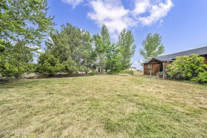 100 Burke, Wellington, Nevada 89444, 4 Bedrooms Bedrooms, ,2 BathroomsBathrooms,Residential,Residential,Burke,0,260010780