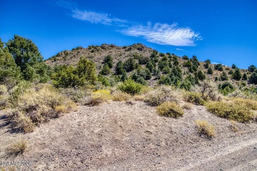 5000 Fandango Pass, Reno, Nevada 89521, ,Land,Residential,Fandango Pass,0,260010895