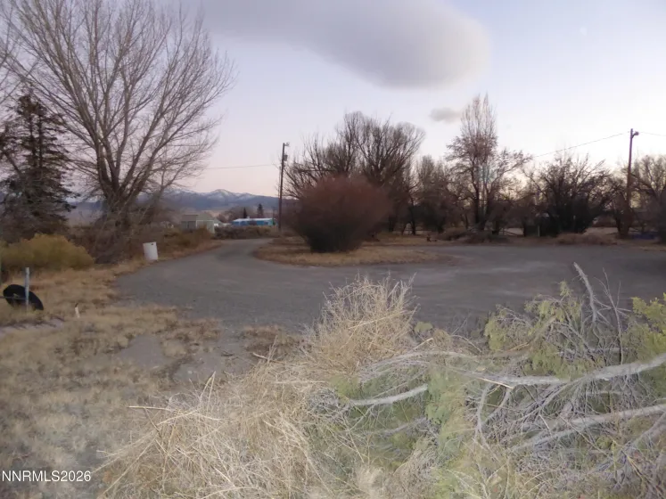 Circular Driveway