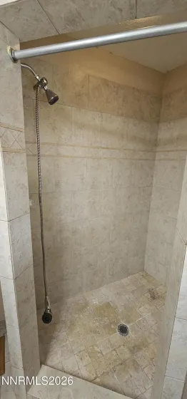 Primary Bathroom Shower