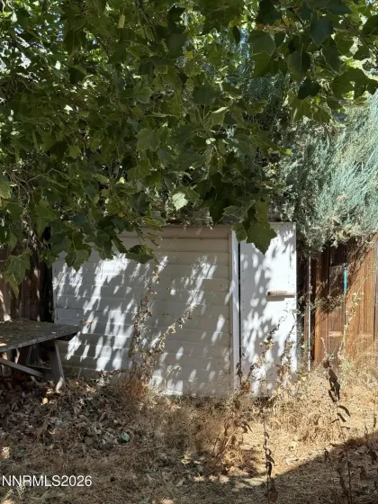 Shed