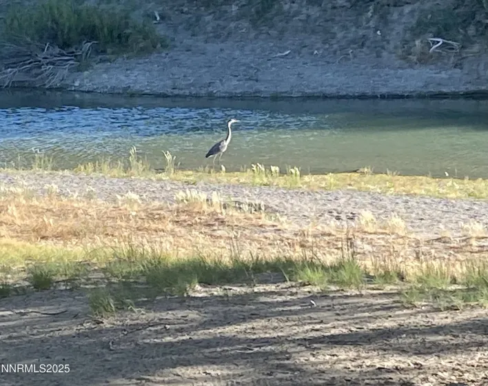 Humboldt River