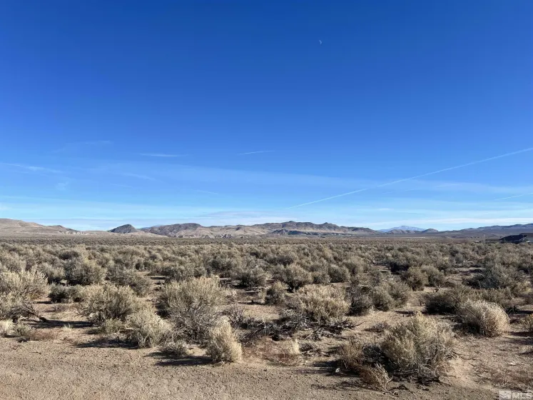 259 Mount Grant Drive, Smith Valley, Nevada 89430, ,Land,Residential,Mount Grant Drive,0,260010979