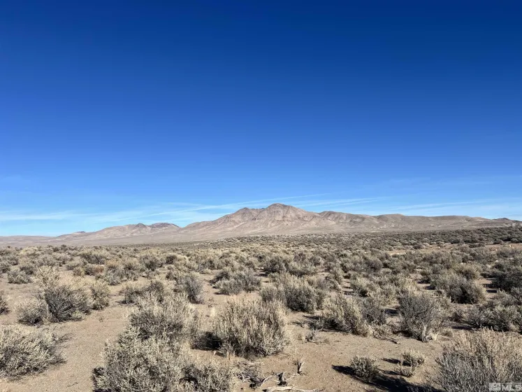 259 Mount Grant Drive, Smith Valley, Nevada 89430, ,Land,Residential,Mount Grant Drive,0,260010979