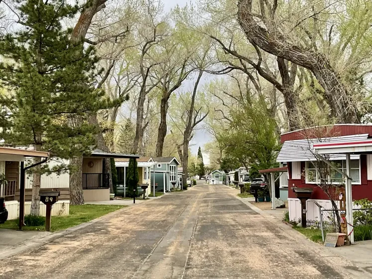90 Shady Tree Lane, Carson City, Nevada 89706, 2 Bedrooms Bedrooms, 12 Rooms Rooms,2 BathroomsBathrooms,Manufactured,Residential,Shady Tree,0,260011083