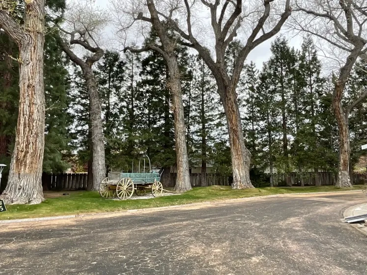 90 Shady Tree Lane, Carson City, Nevada 89706, 2 Bedrooms Bedrooms, 12 Rooms Rooms,2 BathroomsBathrooms,Manufactured,Residential,Shady Tree,0,260011083