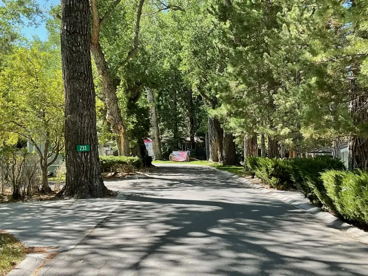 90 Shady Tree Lane, Carson City, Nevada 89706, 2 Bedrooms Bedrooms, 12 Rooms Rooms,2 BathroomsBathrooms,Manufactured,Residential,Shady Tree,0,260011083