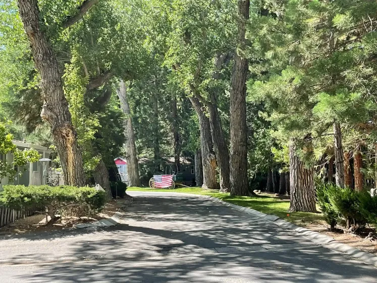 90 Shady Tree Lane, Carson City, Nevada 89706, 2 Bedrooms Bedrooms, 12 Rooms Rooms,2 BathroomsBathrooms,Manufactured,Residential,Shady Tree,0,260011083