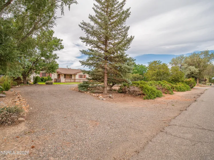 1321 Dennis, Minden, Nevada 89423, 2 Bedrooms Bedrooms, ,2 BathroomsBathrooms,Residential,Residential,Dennis,0,260011092