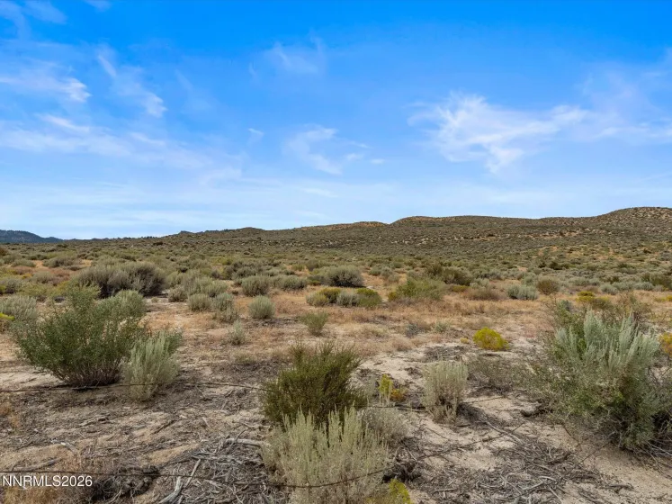 3642 Cindys, Carson City, Nevada 89705, 3 Bedrooms Bedrooms, ,3 BathroomsBathrooms,Residential,Residential,Cindys,0,260011114