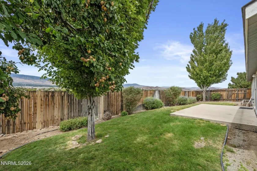 8870 Western Skies, Reno, Nevada 89521, 3 Bedrooms Bedrooms, ,2 BathroomsBathrooms,Residential,Residential,Western Skies,0,260011135