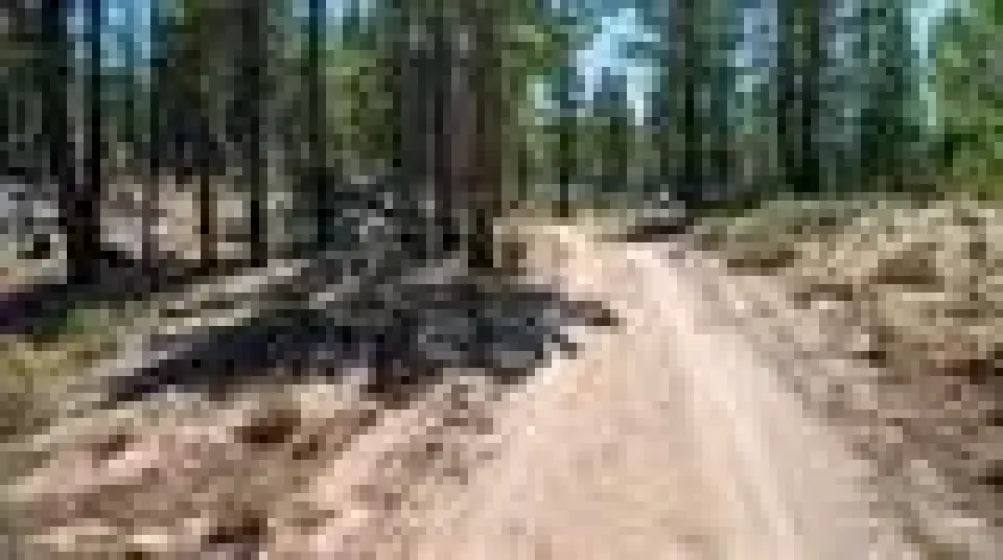 1100 Sugarloaf, Chilcoot-vinton, California 96105, 2 Bedrooms Bedrooms, ,2 BathroomsBathrooms,Residential,Residential,Sugarloaf,0,260011141