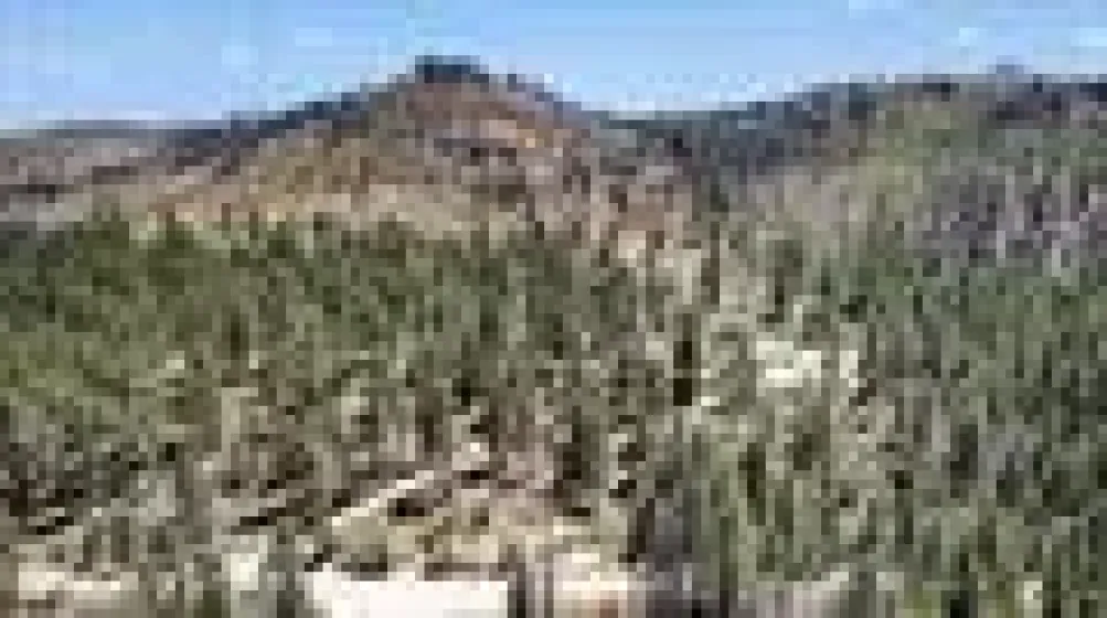 1100 Sugarloaf, Chilcoot-vinton, California 96105, 2 Bedrooms Bedrooms, ,2 BathroomsBathrooms,Residential,Residential,Sugarloaf,0,260011141