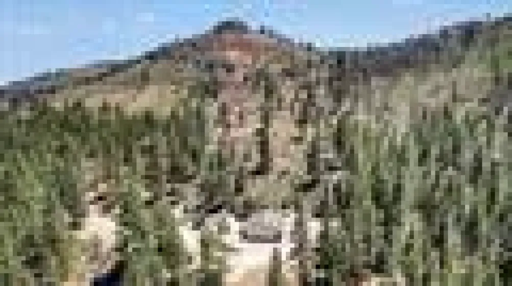 1100 Sugarloaf, Chilcoot-vinton, California 96105, 2 Bedrooms Bedrooms, ,2 BathroomsBathrooms,Residential,Residential,Sugarloaf,0,260011141