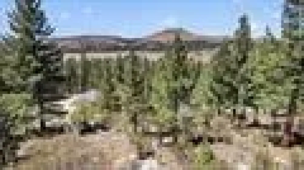 1100 Sugarloaf, Chilcoot-vinton, California 96105, 2 Bedrooms Bedrooms, ,2 BathroomsBathrooms,Residential,Residential,Sugarloaf,0,260011141