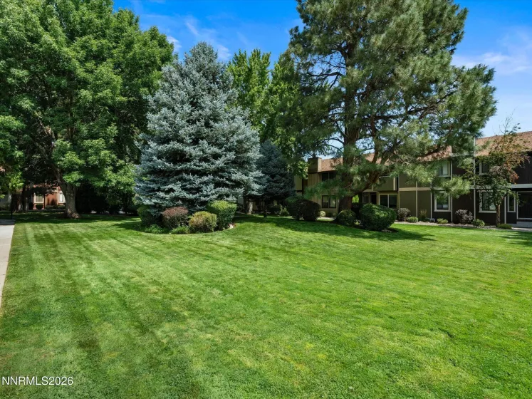1485 Foster, Reno, Nevada 89509, 3 Bedrooms Bedrooms, ,3 BathroomsBathrooms,Residential,Residential,Foster,0,260011154