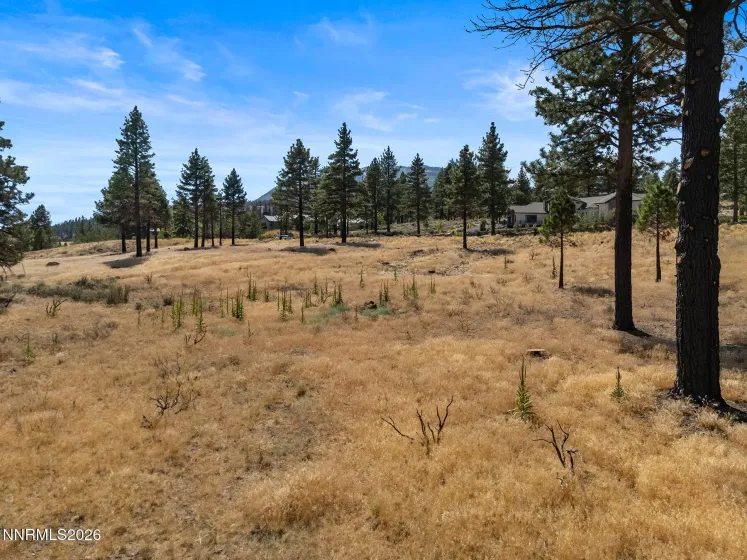 455 Mount Mahogany, Reno, Nevada 89511, 5 Bedrooms Bedrooms, ,7 BathroomsBathrooms,Residential,Residential,Mount Mahogany,0,260011209