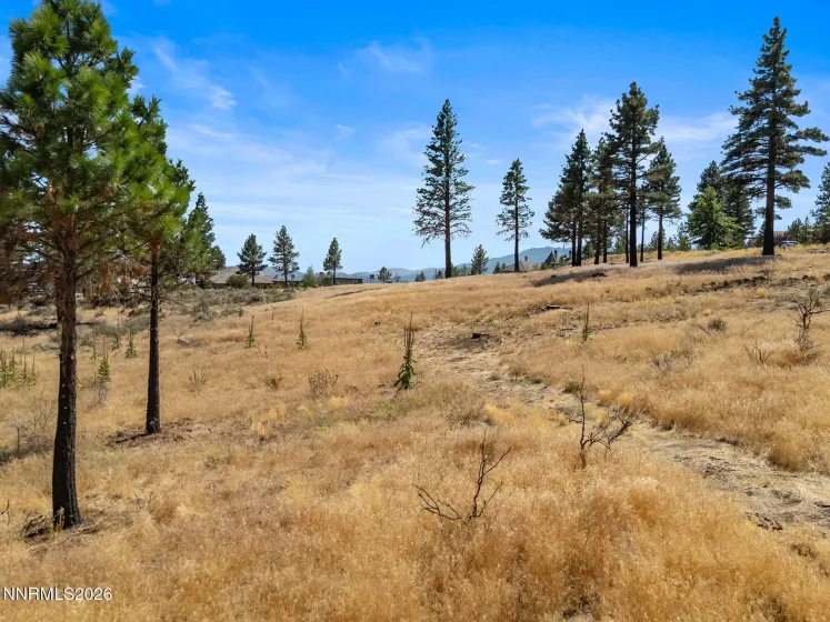 455 Mount Mahogany, Reno, Nevada 89511, 5 Bedrooms Bedrooms, ,7 BathroomsBathrooms,Residential,Residential,Mount Mahogany,0,260011209