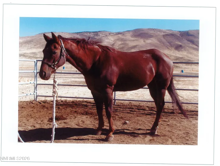 16500 Pyramid, Reno, Nevada 89510, 3 Bedrooms Bedrooms, ,2 BathroomsBathrooms,Farm & Ranch,Residential,Pyramid,0,260011292