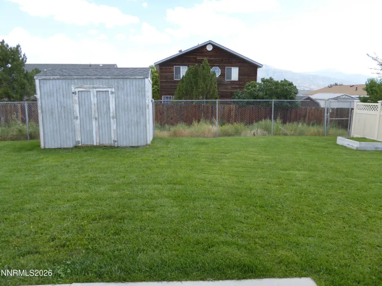 Backyard Shed
