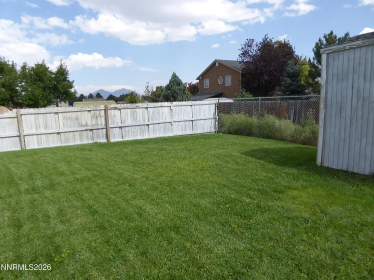 Backyard