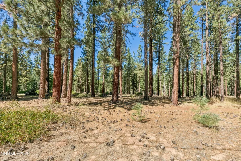 218 Ponderosa, Stateline, Nevada 89449, 2 Bedrooms Bedrooms, ,2 BathroomsBathrooms,Residential,Residential,Ponderosa,0,260011318