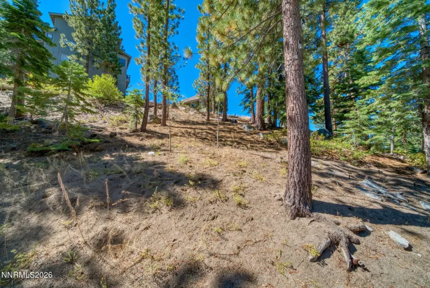 146 Palisades, Stateline, Nevada 89449, 3 Bedrooms Bedrooms, ,2 BathroomsBathrooms,Residential,Residential,Palisades,0,260011457