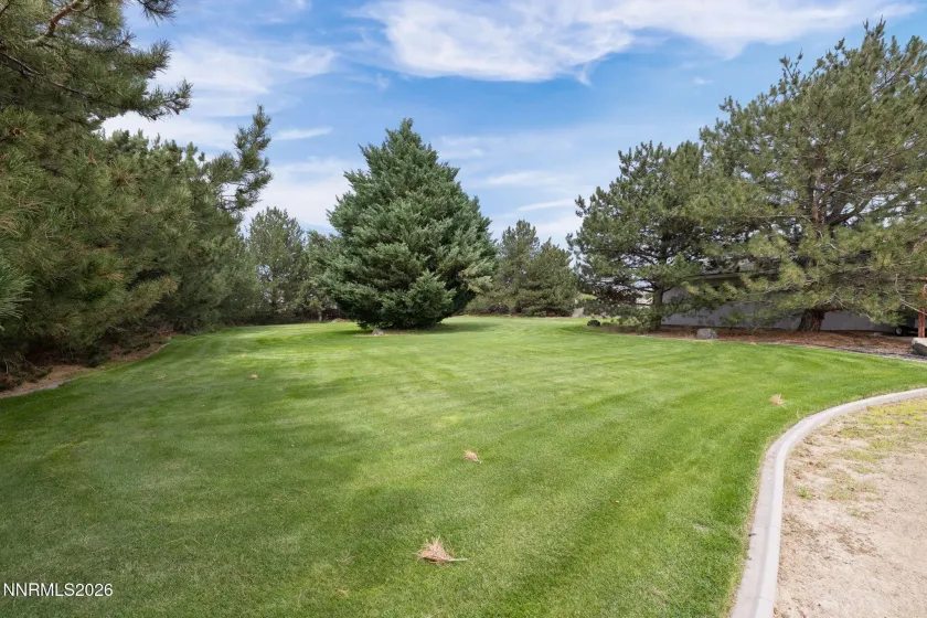 1488 Johnson, Minden, Nevada 89423, 4 Bedrooms Bedrooms, ,3 BathroomsBathrooms,Residential,Residential,Johnson,0,260011536