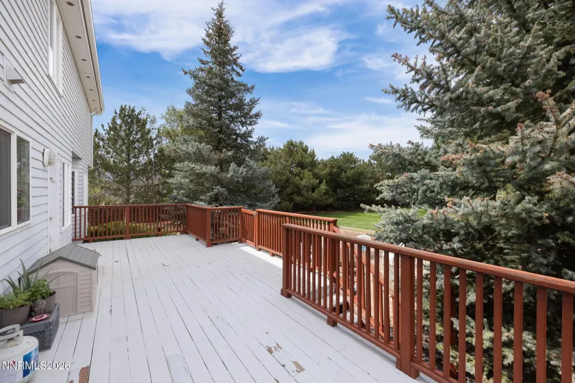1488 Johnson, Minden, Nevada 89423, 4 Bedrooms Bedrooms, ,3 BathroomsBathrooms,Residential,Residential,Johnson,0,260011536