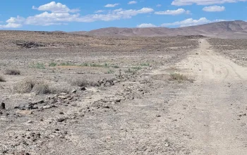 APN 01524116, Silver Springs, Nevada 89429, ,Land,Residential,01524116,0,260011611