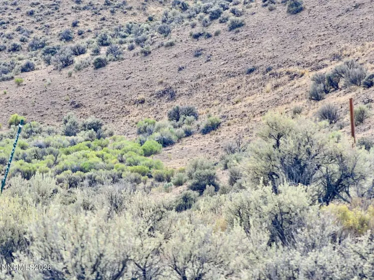0 BLM RD 1074, Deeth, Nevada 89823, ,Land,Residential,BLM RD 1074,0,260011785