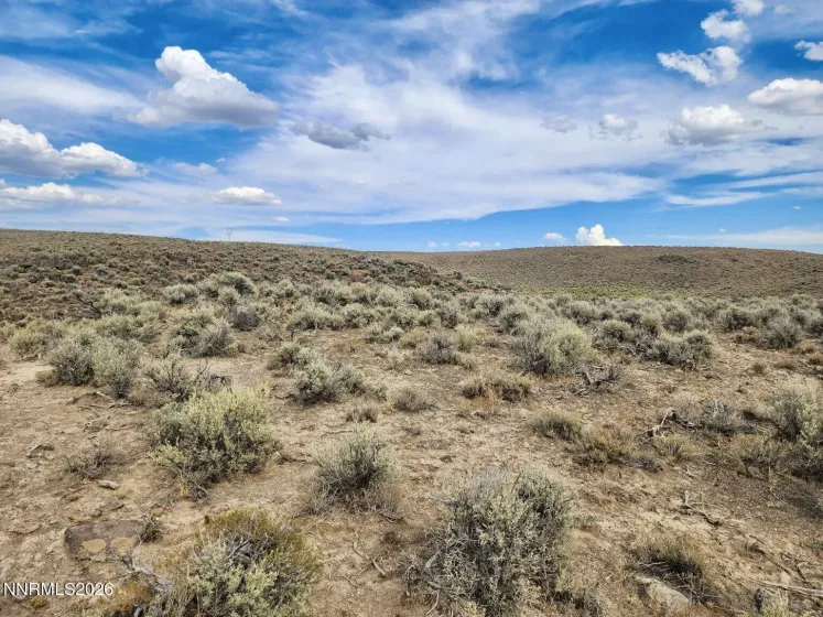 0 BLM RD 1074, Deeth, Nevada 89823, ,Land,Residential,BLM RD 1074,0,260011785