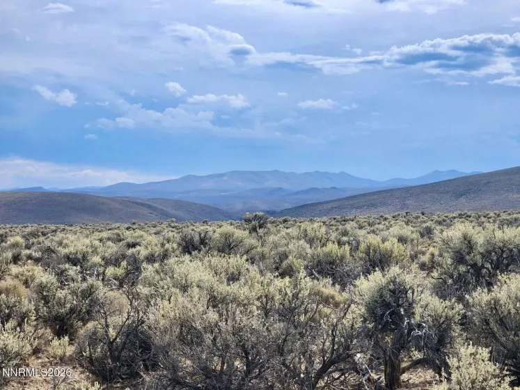 0 BLM RD 1074, Deeth, Nevada 89823, ,Land,Residential,BLM RD 1074,0,260011785