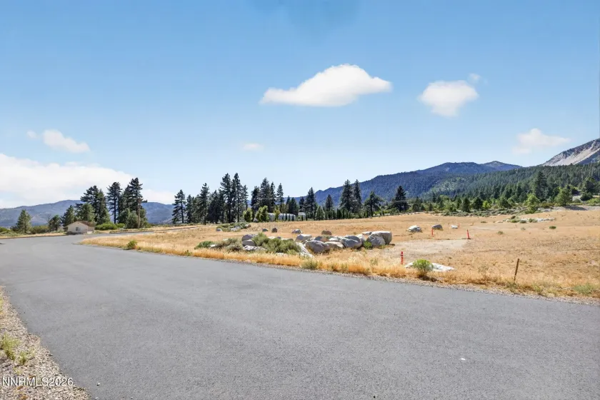 632 Old US Hwy 395, Washoe Valley, Nevada 89704, ,Land,Residential,Old US Hwy 395,0,260011742