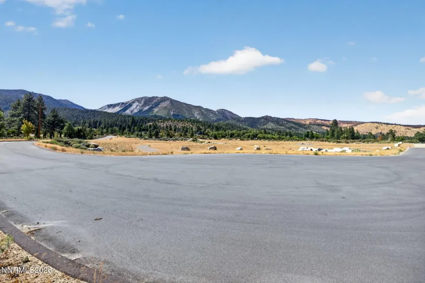 632 Old US Hwy 395, Washoe Valley, Nevada 89704, ,Land,Residential,Old US Hwy 395,0,260011742