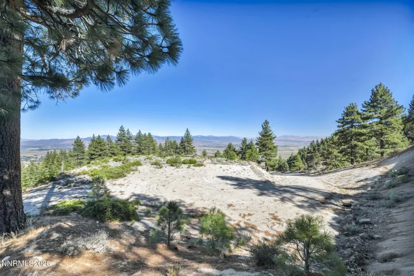 2960 Jacks Valley, Genoa, Nevada 89411, ,Land,Residential,Jacks Valley,0,260011747
