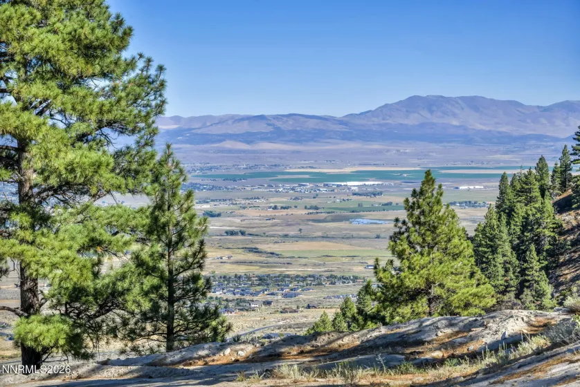 2960 Jacks Valley, Genoa, Nevada 89411, ,Land,Residential,Jacks Valley,0,260011747